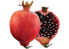 Pomegranate - granatæble eksotisk frugt