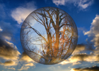 Surrealisme i fotos -  Reflektion