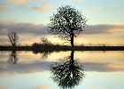 Surrealisme i fotos - Spejling 